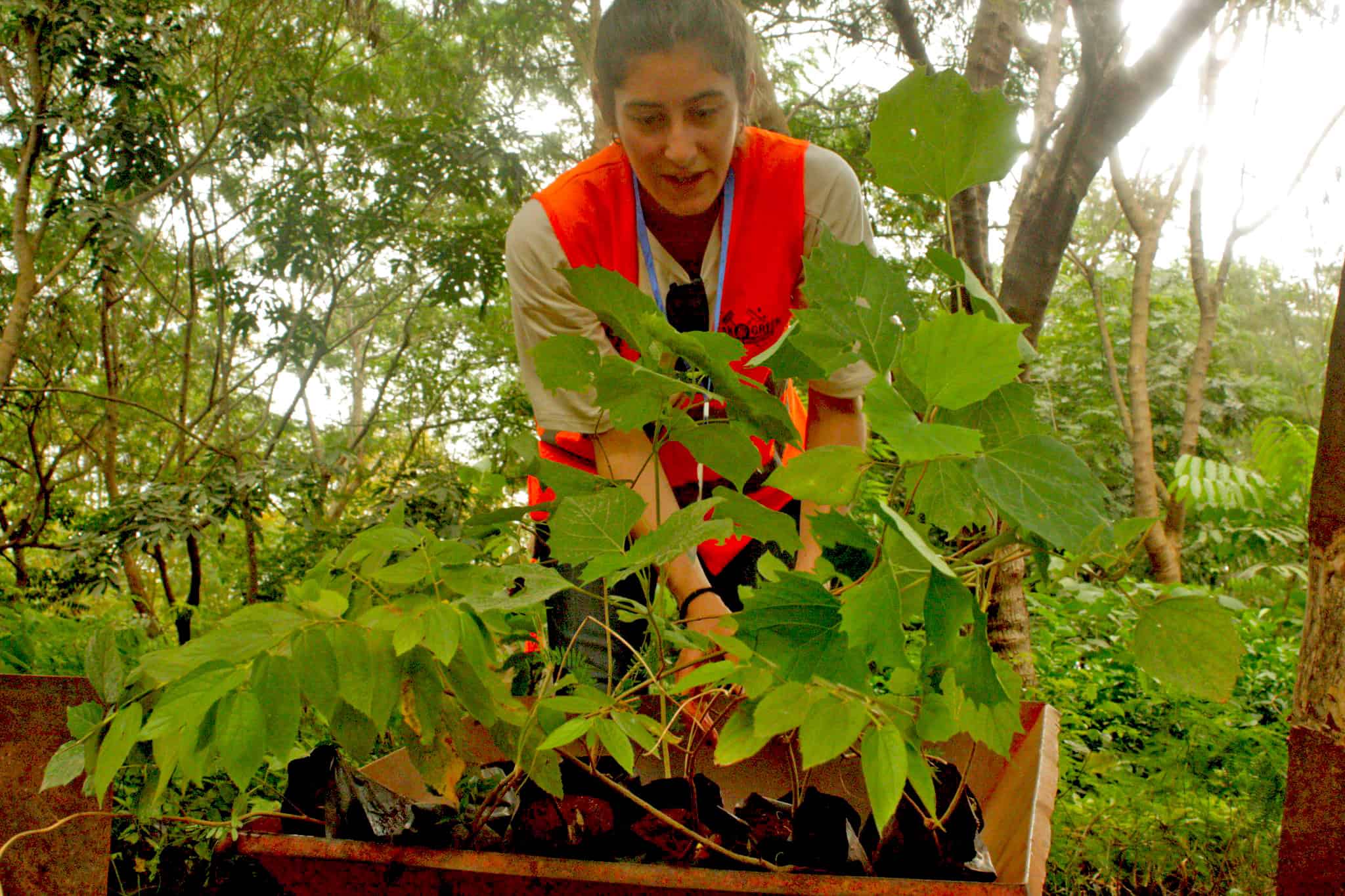 A volunteer working with local communities on environmental advocacy initiatives, planting trees to promote sustainability and eco-friendly practices during an internship program in Tanzania.