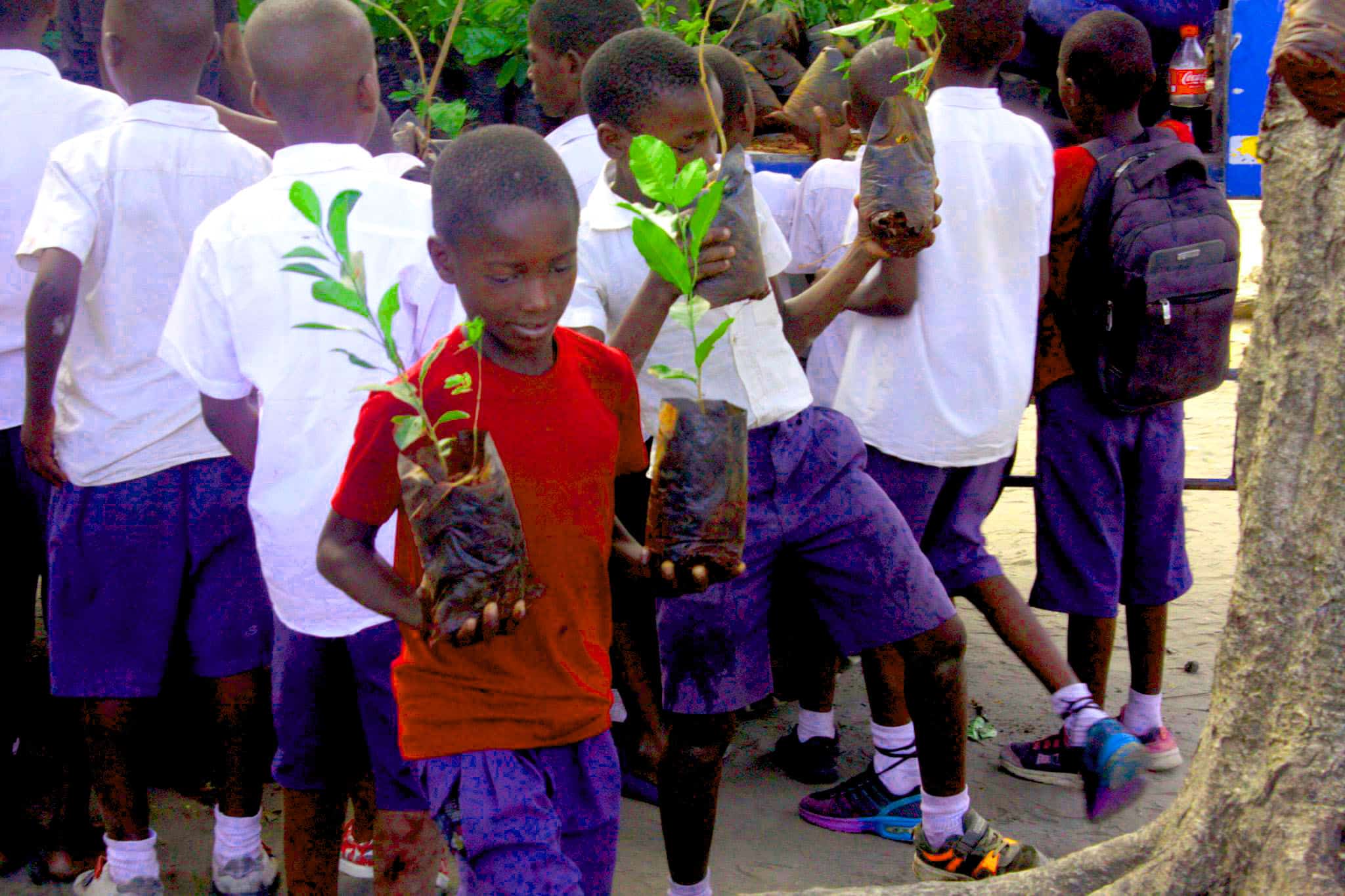 A group of schoolchildren participating in an environmental advocacy activity led by volunteers and interns in Tanzania, focusing on tree planting and ecological awareness.