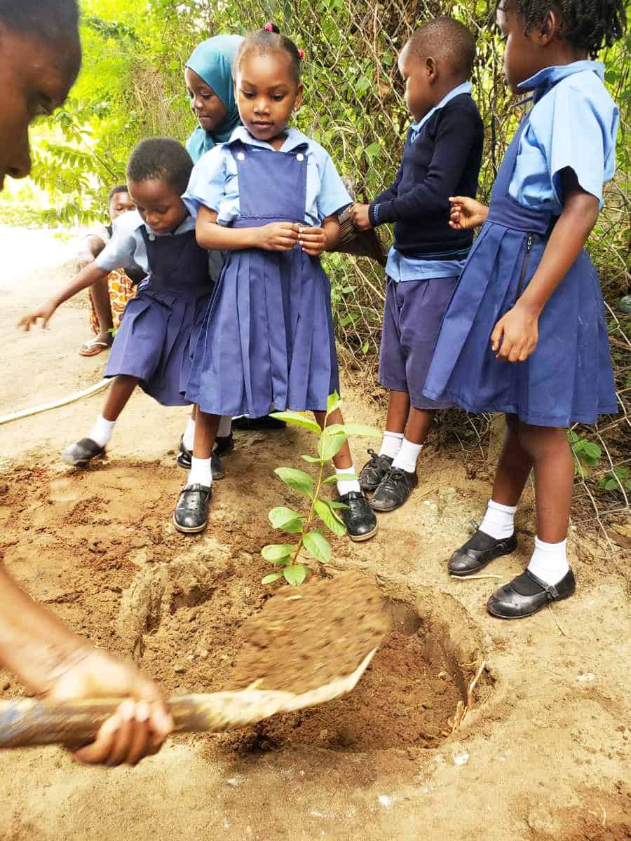 Children planting a tree as part of a volunteering and internship program focused on environmental advocacy and sustainable development in Tanzania.